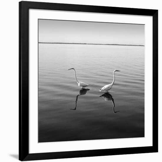 2 Herons-Moises Levy-Framed Photographic Print