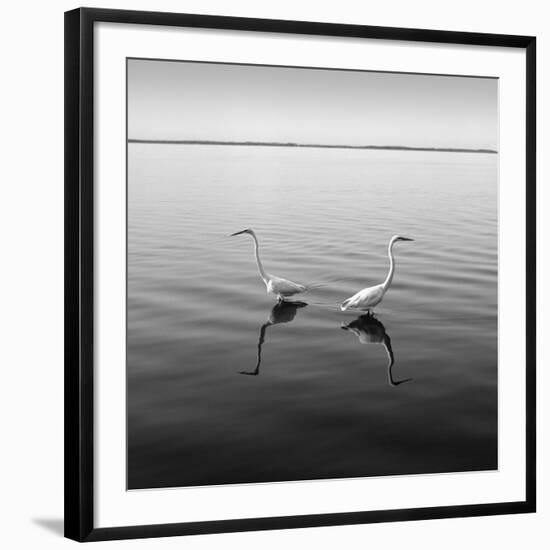 2 Herons-Moises Levy-Framed Photographic Print