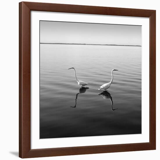 2 Herons-Moises Levy-Framed Photographic Print