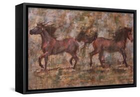 2 Horses-Marta Gottfried-Framed Stretched Canvas