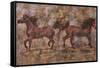 2 Horses-Marta Gottfried-Framed Stretched Canvas