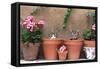 2 Kittens in Flowerpots-null-Framed Stretched Canvas