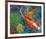 2 Koi-null-Framed Art Print