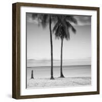 2 Palmeras-Moises Levy-Framed Photographic Print