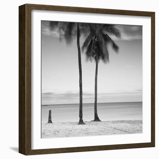 2 Palmeras-Moises Levy-Framed Photographic Print