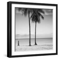 2 Palmeras-Moises Levy-Framed Photographic Print