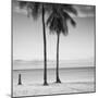 2 Palmeras-Moises Levy-Mounted Photographic Print