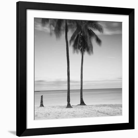 2 Palmeras-Moises Levy-Framed Photographic Print