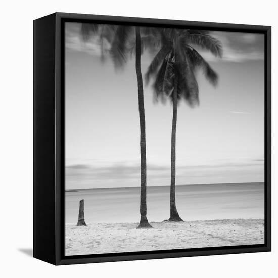 2 Palmeras-Moises Levy-Framed Stretched Canvas