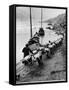 2 Rows of Chinese Trackers Plodding Along Bank of Yangtze River Towing a Junk Slowly Up River-Dmitri Kessel-Framed Stretched Canvas