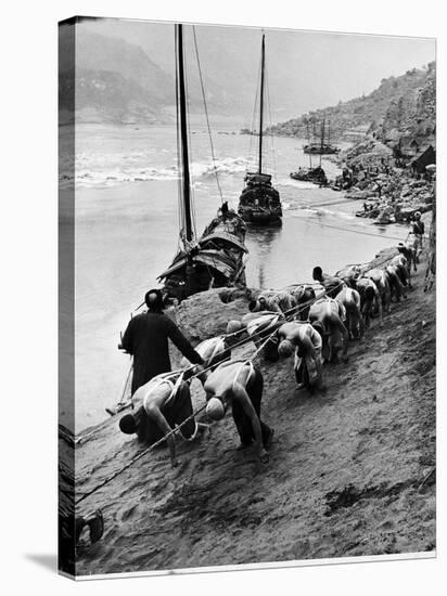 2 Rows of Chinese Trackers Plodding Along Bank of Yangtze River Towing a Junk Slowly Up River-Dmitri Kessel-Stretched Canvas