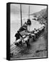 2 Rows of Chinese Trackers Plodding Along Bank of Yangtze River Towing a Junk Slowly Up River-Dmitri Kessel-Framed Stretched Canvas