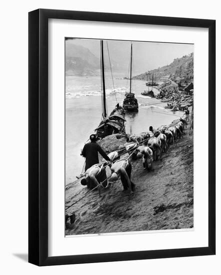 2 Rows of Chinese Trackers Plodding Along Bank of Yangtze River Towing a Junk Slowly Up River-Dmitri Kessel-Framed Photographic Print