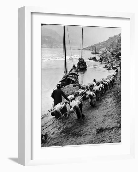 2 Rows of Chinese Trackers Plodding Along Bank of Yangtze River Towing a Junk Slowly Up River-Dmitri Kessel-Framed Photographic Print