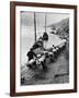 2 Rows of Chinese Trackers Plodding Along Bank of Yangtze River Towing a Junk Slowly Up River-Dmitri Kessel-Framed Photographic Print