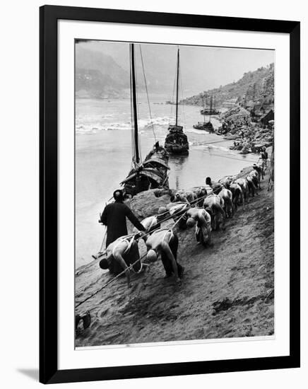 2 Rows of Chinese Trackers Plodding Along Bank of Yangtze River Towing a Junk Slowly Up River-Dmitri Kessel-Framed Photographic Print