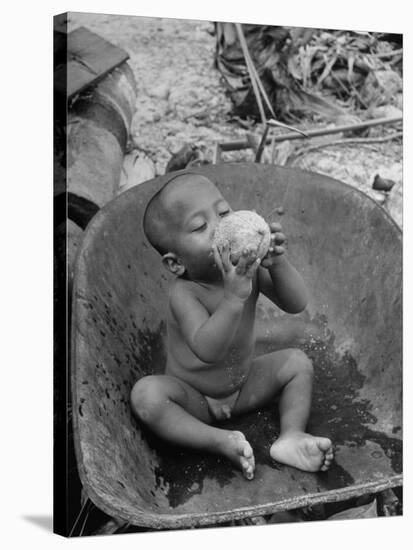 2 Year Old Drinking Coconut-null-Stretched Canvas