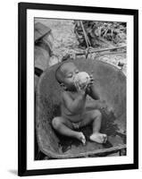 2 Year Old Drinking Coconut-null-Framed Photographic Print