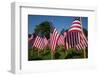 20,000 American Flags, Boston Common, Memorial Day, 2012, Boston, MA-Joseph Sohm-Framed Photographic Print