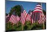 20,000 American Flags, Boston Common, Memorial Day, 2012, Boston, MA-Joseph Sohm-Mounted Photographic Print