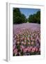 20,000 American Flags, Boston Common, Memorial Day, 2012, Boston, MA-Joseph Sohm-Framed Photographic Print