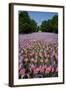 20,000 American Flags, Boston Common, Memorial Day, 2012, Boston, MA-Joseph Sohm-Framed Photographic Print