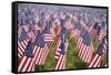 20,000 American Flags for Memorial Day, Boston Commons, Boston, MA-Joseph Sohm-Framed Stretched Canvas