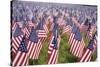 20,000 American Flags for Memorial Day, Boston Commons, Boston, MA-Joseph Sohm-Stretched Canvas