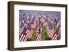 20,000 American Flags for Memorial Day, Boston Commons, Boston, MA-Joseph Sohm-Framed Photographic Print