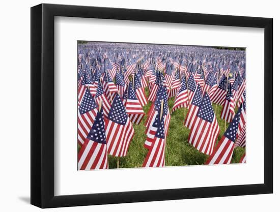 20,000 American Flags for Memorial Day, Boston Commons, Boston, MA-Joseph Sohm-Framed Photographic Print