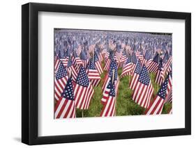 20,000 American Flags for Memorial Day, Boston Commons, Boston, MA-Joseph Sohm-Framed Photographic Print