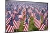 20,000 American Flags for Memorial Day, Boston Commons, Boston, MA-Joseph Sohm-Mounted Photographic Print