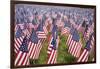 20,000 American Flags for Memorial Day, Boston Commons, Boston, MA-Joseph Sohm-Framed Photographic Print