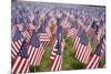 20,000 American Flags for Memorial Day, Boston Commons, Boston, MA-Joseph Sohm-Mounted Photographic Print