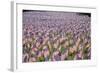 20,000 American Flags for Memorial Day, Boston Commons, Boston, MA-Joseph Sohm-Framed Photographic Print