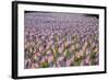 20,000 American Flags for Memorial Day, Boston Commons, Boston, MA-Joseph Sohm-Framed Photographic Print