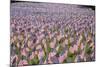 20,000 American Flags for Memorial Day, Boston Commons, Boston, MA-Joseph Sohm-Mounted Photographic Print