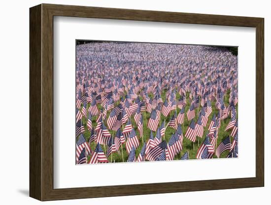 20,000 American Flags for Memorial Day, Boston Commons, Boston, MA-Joseph Sohm-Framed Photographic Print