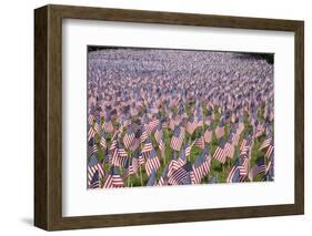 20,000 American Flags for Memorial Day, Boston Commons, Boston, MA-Joseph Sohm-Framed Photographic Print