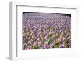 20,000 American Flags for Memorial Day, Boston Commons, Boston, MA-Joseph Sohm-Framed Photographic Print