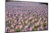 20,000 American Flags for Memorial Day, Boston Commons, Boston, MA-Joseph Sohm-Mounted Photographic Print