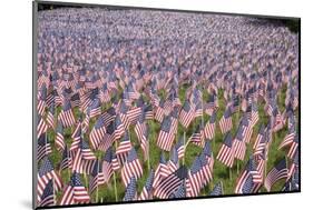 20,000 American Flags for Memorial Day, Boston Commons, Boston, MA-Joseph Sohm-Mounted Photographic Print