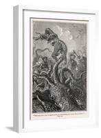 20,000 Leagues Under the Sea: The Squid Claims a Victim-Hildebrand-Framed Photographic Print