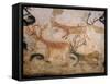 20,000 Year Old Lascaux Cave Painting Done by Cro-Magnon Man in the Dordogne Region, France-Ralph Morse-Framed Stretched Canvas