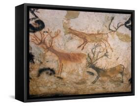 20,000 Year Old Lascaux Cave Painting Done by Cro-Magnon Man in the Dordogne Region, France-Ralph Morse-Framed Stretched Canvas