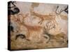 20,000 Year Old Lascaux Cave Painting Done by Cro-Magnon Man in the Dordogne Region, France-Ralph Morse-Stretched Canvas