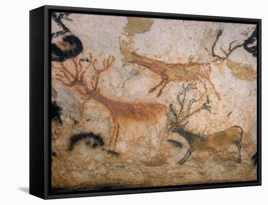 20,000 Year Old Lascaux Cave Painting Done by Cro-Magnon Man in the Dordogne Region, France-Ralph Morse-Framed Stretched Canvas