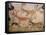 20,000 Year Old Lascaux Cave Painting Done by Cro-Magnon Man in the Dordogne Region, France-Ralph Morse-Framed Stretched Canvas