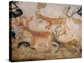 20,000 Year Old Lascaux Cave Painting Done by Cro-Magnon Man in the Dordogne Region, France-Ralph Morse-Stretched Canvas