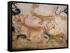 20,000 Year Old Lascaux Cave Painting Done by Cro-Magnon Man in the Dordogne Region, France-Ralph Morse-Framed Stretched Canvas
